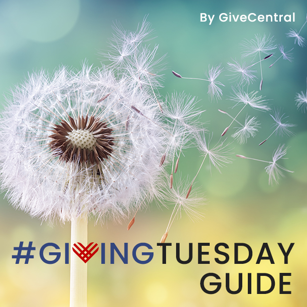 Giving Tuesday Guide